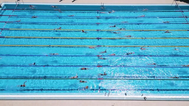 Aerial Top Down View of Swimmers Training in an Outdoor Swimming Pool