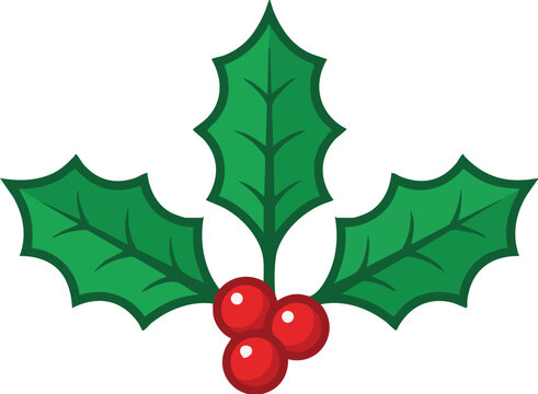 Three holly leaves with bright red berries arranged in a symmetrical cluster against a transparent background.