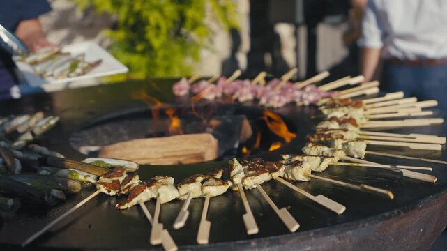 Grilled Meat Skewers Cooking on Outdoor Fire Pit Grill
