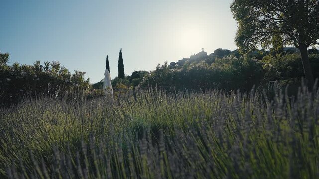 Lavender Field at Golden Hour in Peaceful Countryside