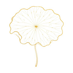 Obraz premium PNG Elegant golden floral design