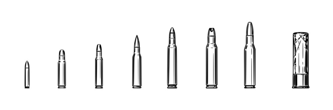 Bullets and Shell Casings Arranged in a Row Featuring Bullet, Casing, Ammunition with Firearm and Weapon Elements for Metal