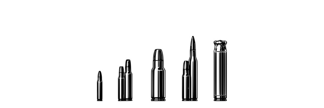 Bullets and Shell Casings Arranged in a Row with Varying Sizes and Designs Featuring Bullet, Casing, Ammunition with Firearm