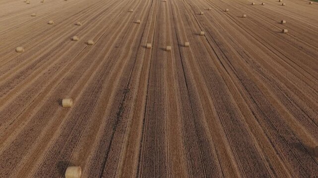 An aerial view of a freshly harvested wheat field featuring neatly aligned stubble rows and scattered round hay bales.