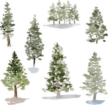 Watercolor Pine Trees in Winter Landscape