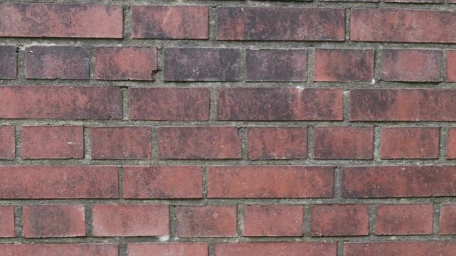 Weathered Red Brick Wall Texture with Slow Horizontal Camera Pan