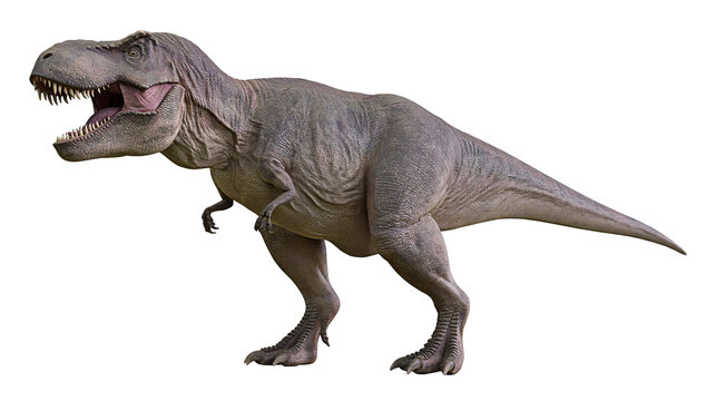 Tyrannosaurus Rex dinosaur roaring with mouth open