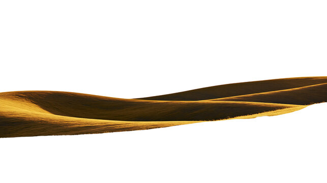 Golden sand dunes with soft light and shadow