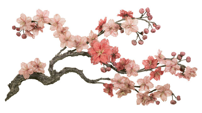 Pink cherry blossom branch with textured bark