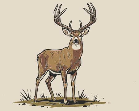 Majestic wild buck deer with large antlers standing in the nature field graphic