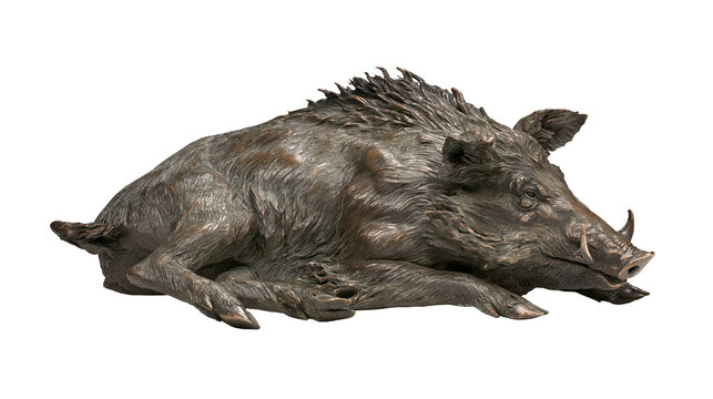 Bronze sculpture of a wild boar lying down