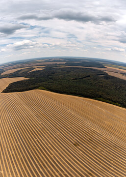 Aerial fish-eye panorama of golden crop fields with neat rows, bordered by green forest and cloudy sky