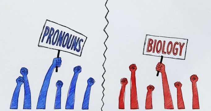 Political Polarization and Social Division Between Red and Blue Groups - Pronouns vs Biology