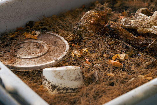 Black Soldier Fly Compost Bin with Organic Waste and Frass After Bioconversion