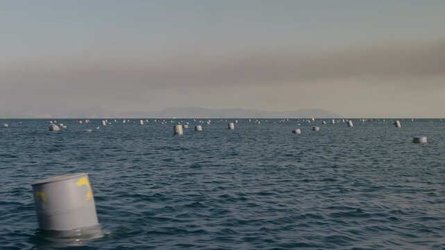 Floating buoys at a mussel farm in the Gulf of Naples, along the Mediterranean coast.