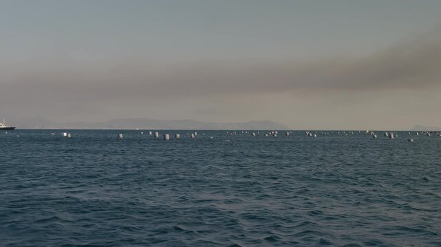 Floating buoys at a mussel farm in the Gulf of Naples, along the Mediterranean coast.