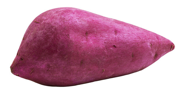 Purple sweet potato tuber with rough skin