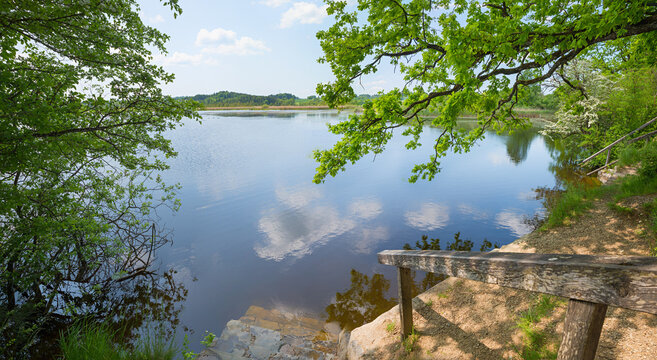 bathing area lake Maisinger See. oak tree branches with green leaves, upper bavarian landscape near Starnberg area.