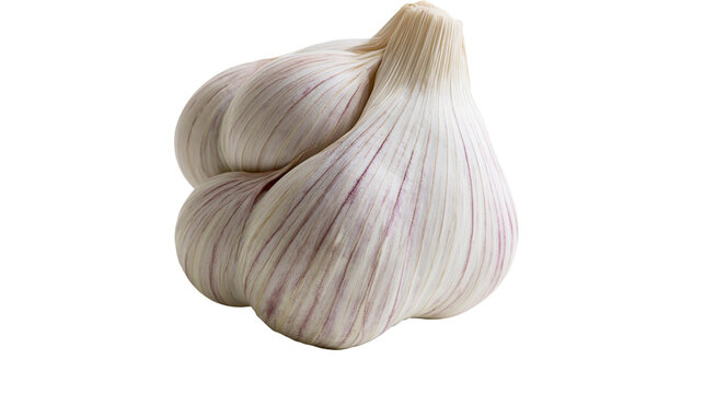 Whole garlic bulb with purple streaks on white
