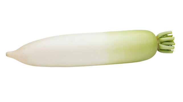 White daikon radish with green leafy top