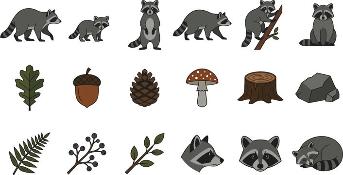 North American raccoon wildlife character set with various poses, forest foliage, and woodland nature elements