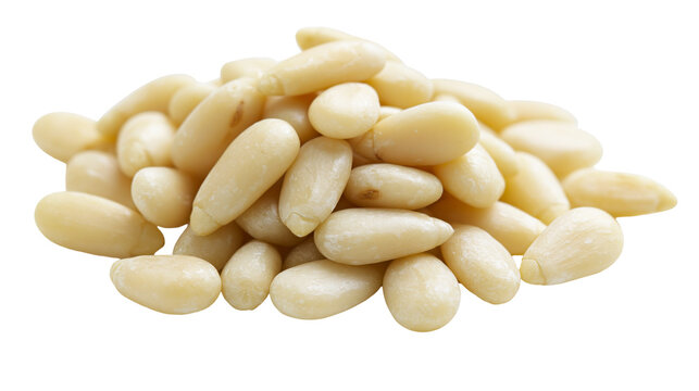 Pile of raw pine nuts, light beige kernels