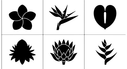 Obraz premium Tropical Flower Silhouettes, Exotic Botanical Icons, Black and White Floral Vector Set for Design