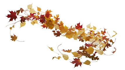 Autumn leaves garland red yellow orange brown, scattered on white © Isolde