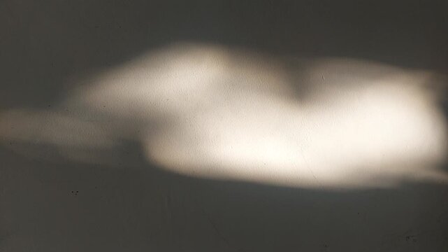 The shadow of the leaves reflects off the curtain. Vertical video.