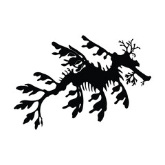 Fototapeta premium Leafy seadragon silhouette isolated on white background for marine life graphic design projects