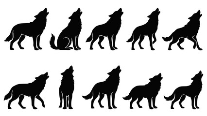 Fototapeta premium A pack of wolves in various howling silhouettes on transparent background Isolated on Transparent Background