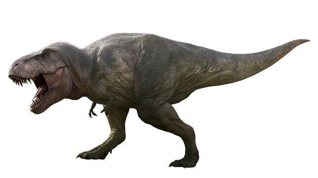 Tyrannosaurus Rex dinosaur roaring with mouth open
