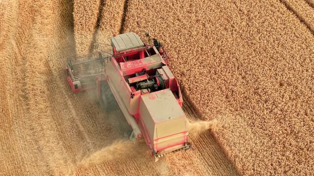 Ripe wheat field with combine harvester cutting cereal crop. Barley harvest, airborne chaff, dust cloud and straw windrows across cultivated farmland under dry summer conditions. Agricultural