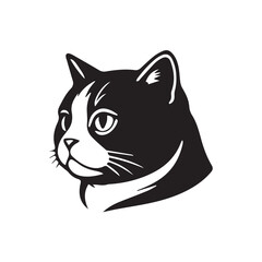 Obraz premium black cat vector illustration