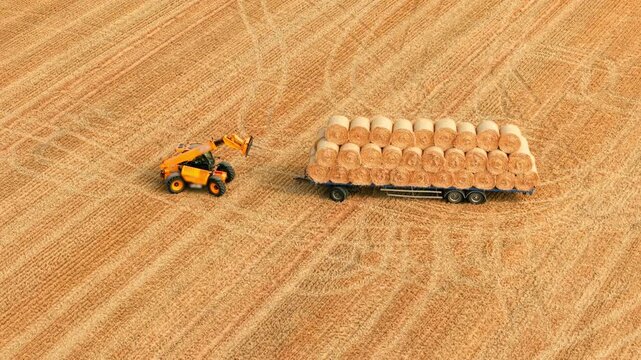 Hay bales loading with telescopic handler on stubble field. Round bale transport, harvested farmland and dry forage prepared for cattle and sheep nutrition before storage. Rural agriculture, livestock