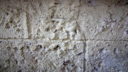 Obraz premium Rough weathered concrete wall texture background with dry brown moss stains, rustic grunge backdrop with copy space. Close up of coarse cement wall surface 
