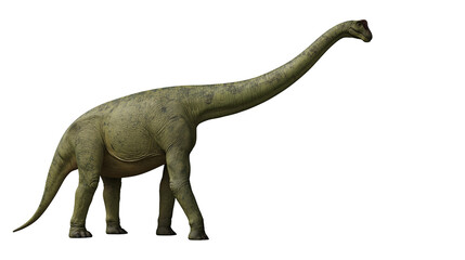 Sauropod dinosaur with long neck and tail, green skin texture © Elowen