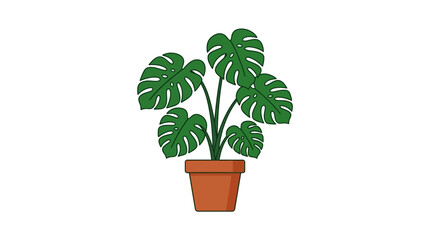 Fototapeta premium Monstera deliciosa plant features lush green split leaves sitting inside a simple brown ceramic pot using clean flat vector graphics