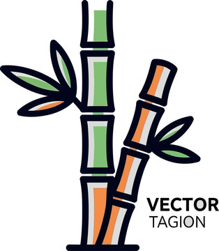 Bamboo Plant Vector Illustration