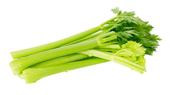 Fresh green celery stalks with leaves and water droplets