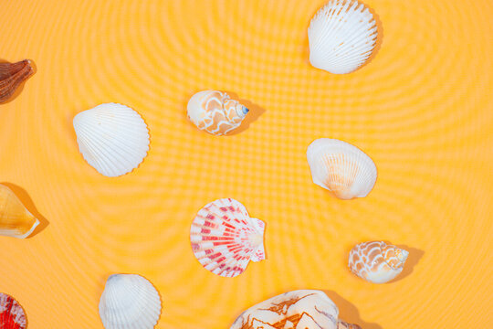 Summer time concept with sea shells or starfish on yellow background with copy space for text.