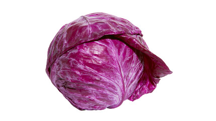 Obraz premium Red cabbage head with vibrant purple leaves