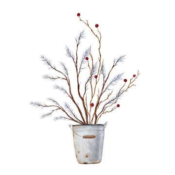 Rustic watercolor illustration of minimalist winter arrangement of bare twigs, blue-toned pine branches, and red berry sprays housed in weathered galvanized metal bucket. For winter holiday design