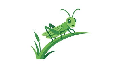 Fototapeta premium Cute Grasshopper Sitting On Grass Vector Insect Illustration