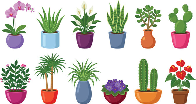 Potted houseplant vector collection featuring popular indoor plants like orchid aloe vera snake plant cactus spider plant isolated on white background