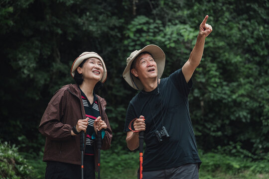 Elderly couple pointing and looking out with excited face while hiking at tropical forest canopy, capturing body language of people sharing happiness moment together when exploring nature
