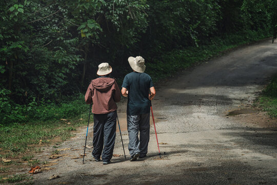 Back of full body couple walking together with hiking gears and poles along forest trail, showing sustainable ecotourism, digital detox, and trekking wellness for healthy nature exploration activity