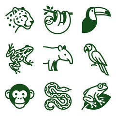 Fototapeta premium Jungle animal line icons and tropical wildlife graphics.
