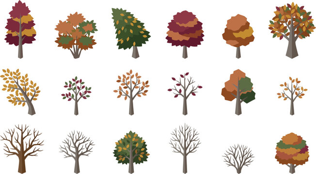 Set of various colorful forest trees in different seasons for landscape design and decoration Vector