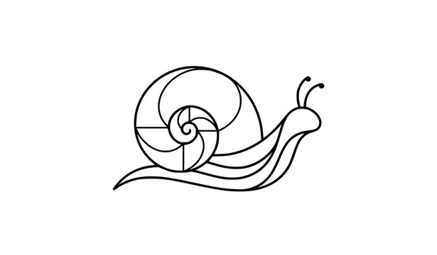 Minimalist snail line art logo elegant spiral shell vector linear icon for organic beauty branding